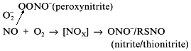 Scheme 4