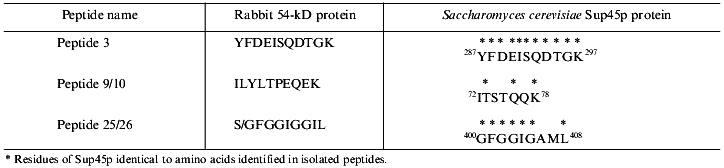 TABLE 2