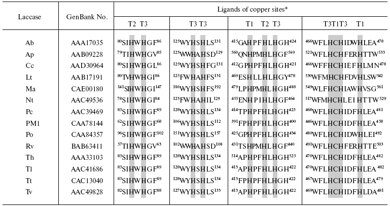 TABLE 2