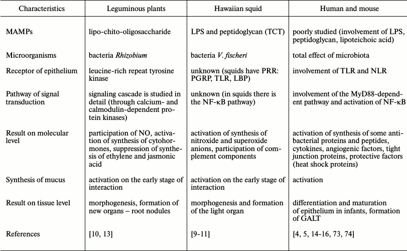 TABLE 2