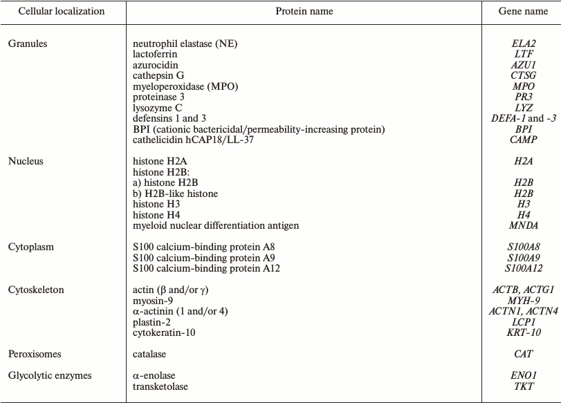 TABLE 1